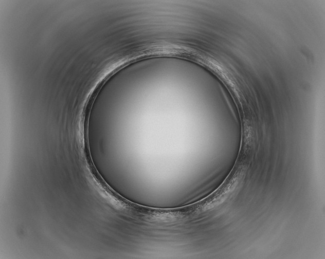 X0000112460843200908311328