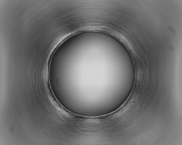 X0000112460844200908311328