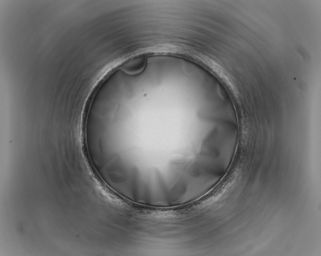 X0000112460845200908311328