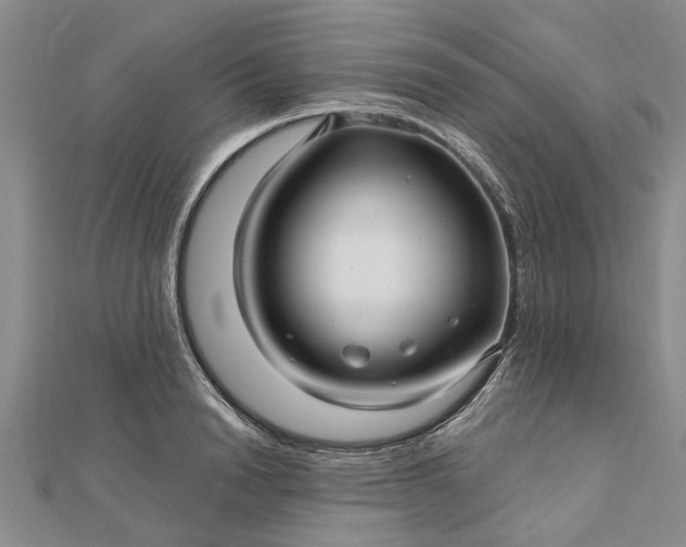 X0000112460846200908311328