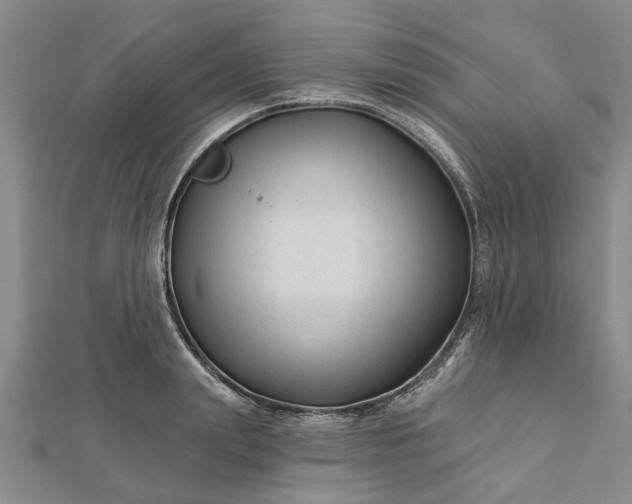 X0000112460847200908311328