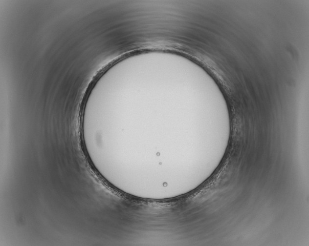 X0000112460848200908311328