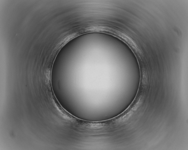 X0000112460849200908311328