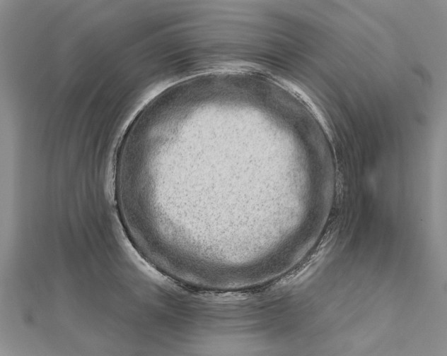 X0000112460851200908311328