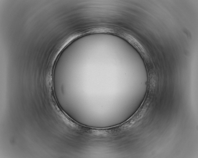 X0000112460852200908311328