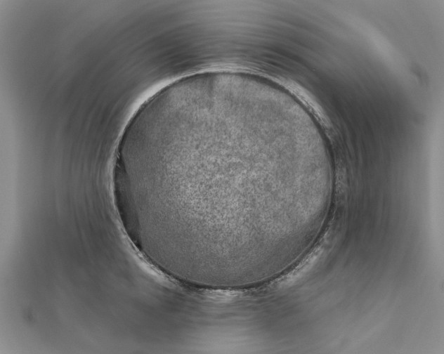 X0000112460854200908311328