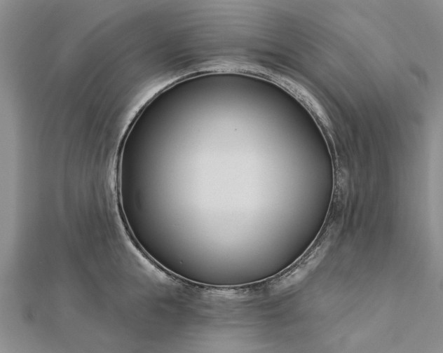 X0000112460855200908311328