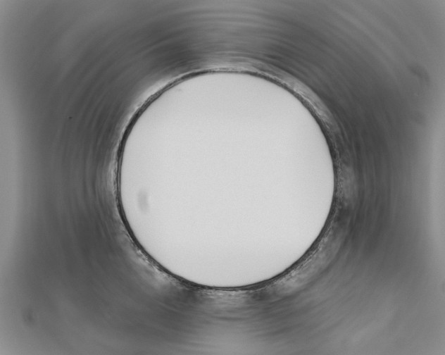 X0000112460856200908311328