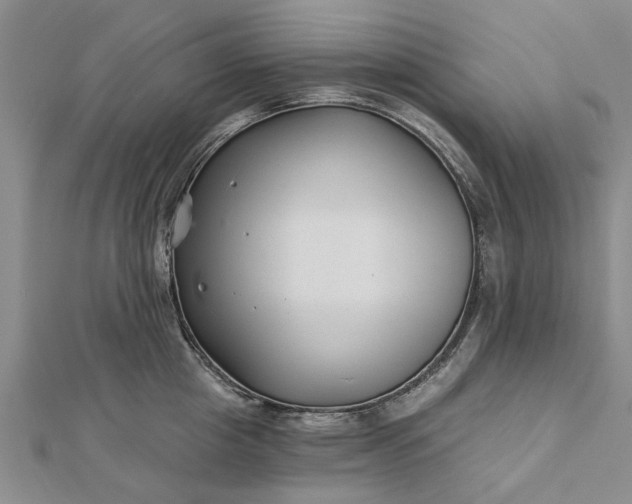 X0000112460857200908311328