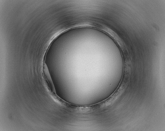 X0000112460858200908311328