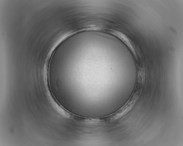 X0000112460859200908311328