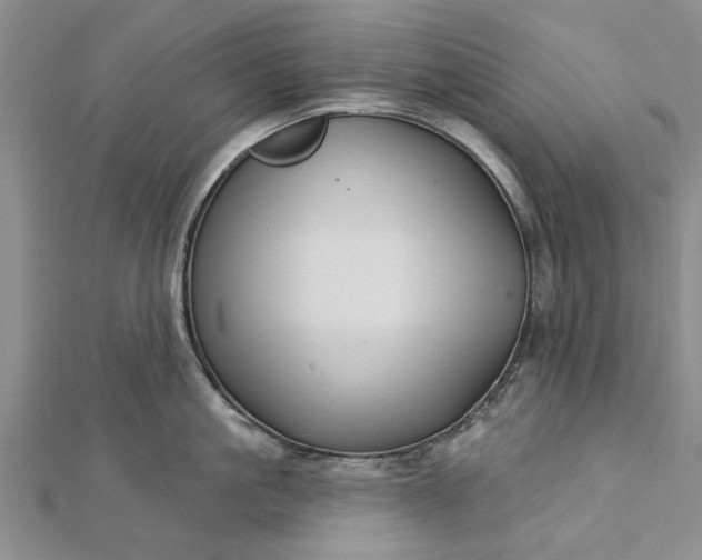 X0000112460861200908311328