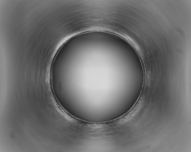 X0000112460862200908311328