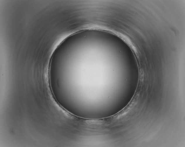 X0000112460863200908311328