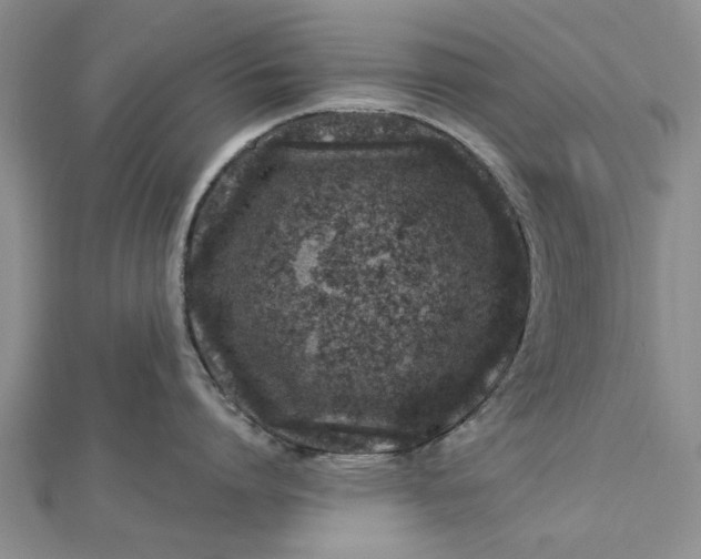 X0000112460864200908311328