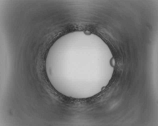 X0000112460865200908311327