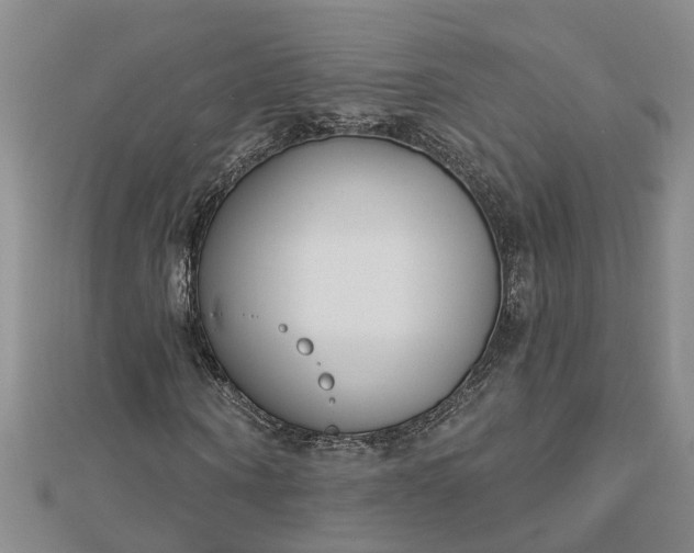 X0000112460866200908311327