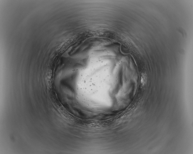 X0000112460867200908311327