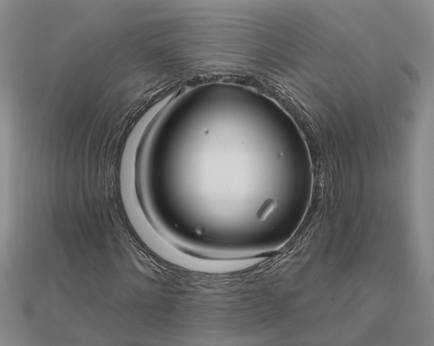 X0000112460868200908311327