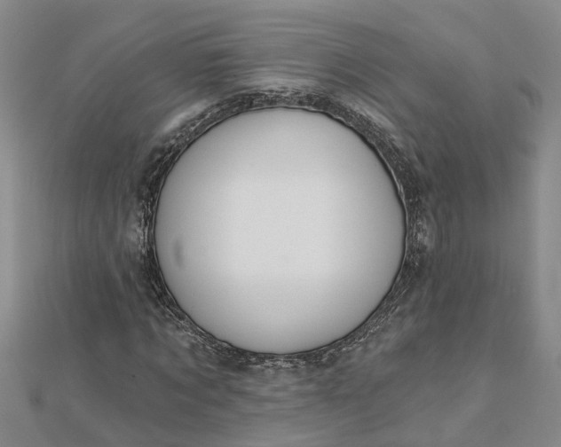 X0000112460869200908311327