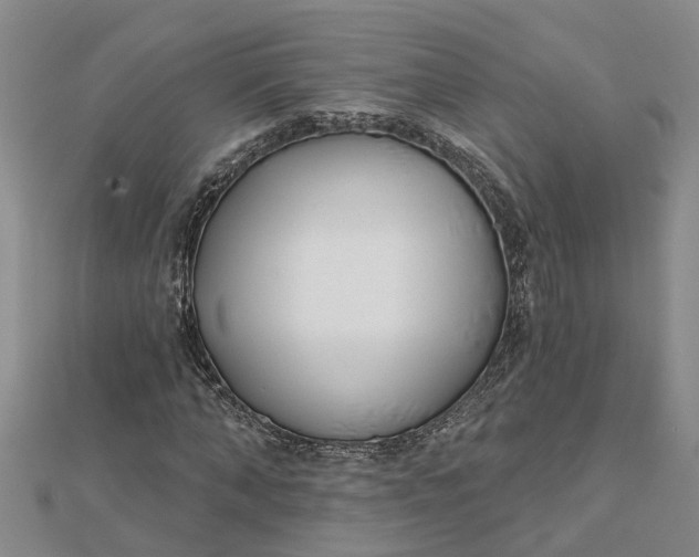 X0000112460870200908311327