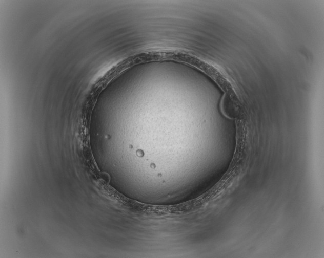 X0000112460871200908311327