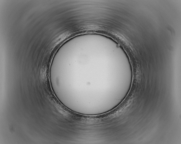 X0000112460873200908311327