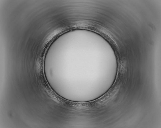 X0000112460874200908311327