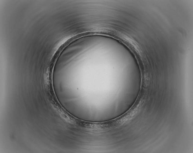 X0000112460875200908311327