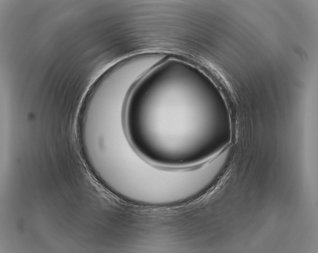 X0000112460876200908311327