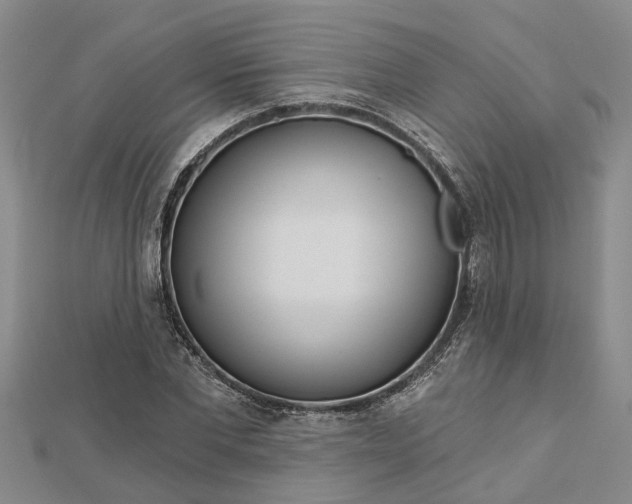 X0000112460877200908311327