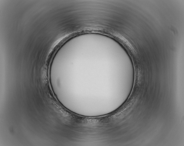 X0000112460878200908311327