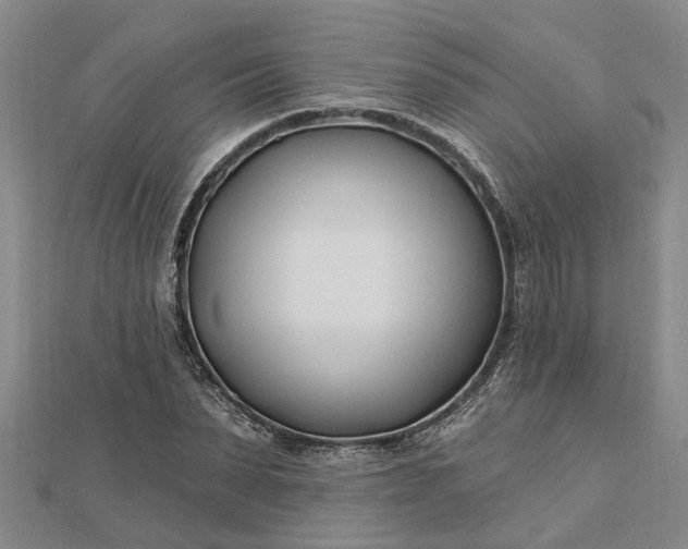 X0000112460879200908311327