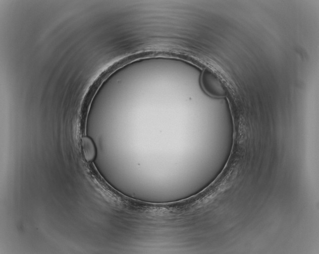 X0000112460880200908311327