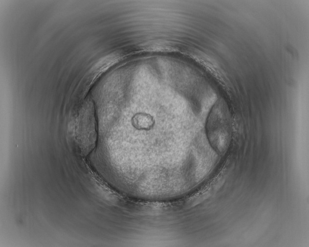 X0000112460881200908311327