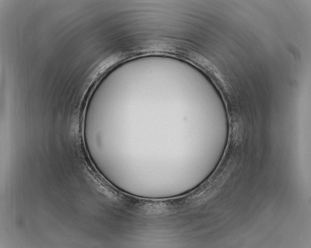 X0000112460882200908311327