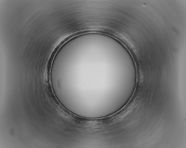 X0000112460883200908311327