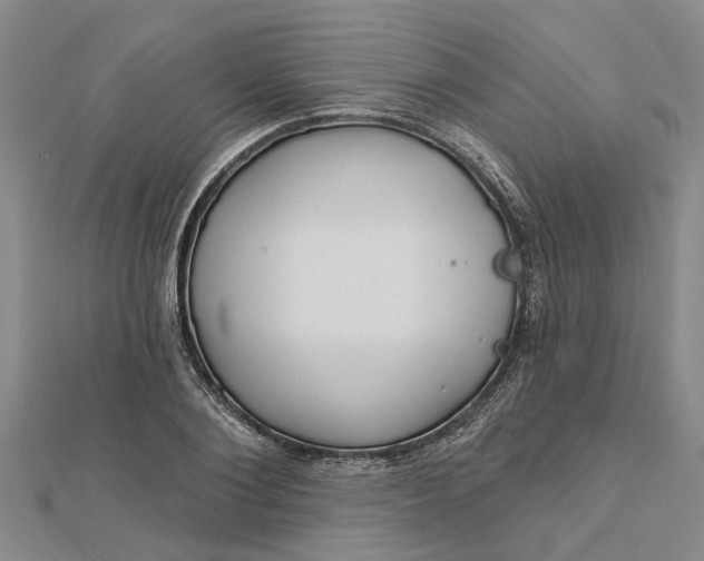 X0000112460884200908311327