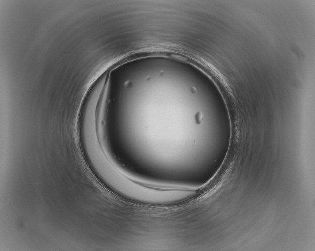 X0000112460885200908311327