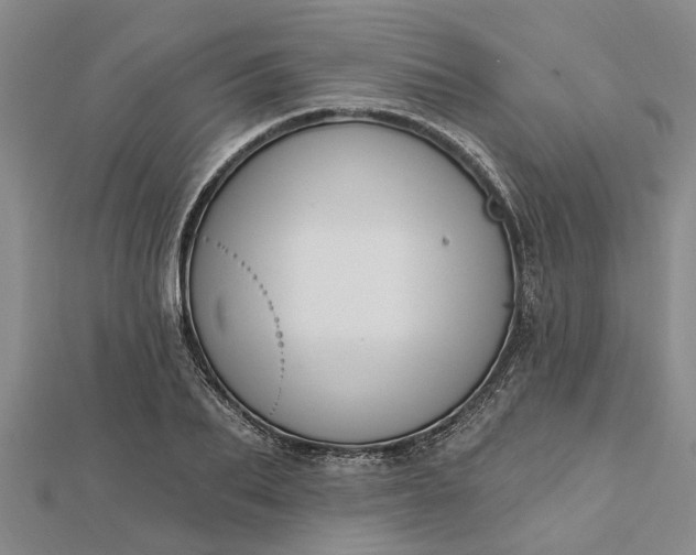 X0000112460887200908311327