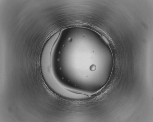 X0000112460889200908311327