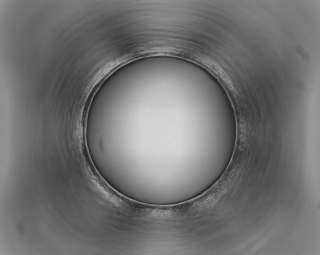 X0000112460890200908311327