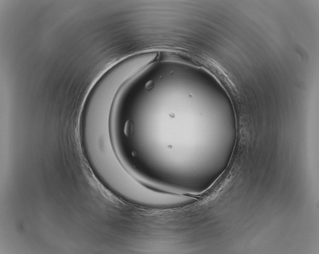 X0000112460892200908311327