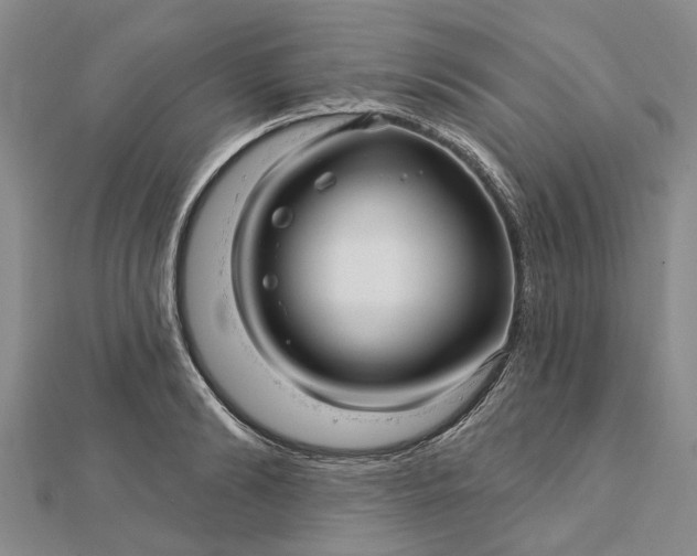 X0000112460894200908311327