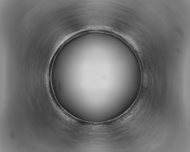 X0000112460895200908311327