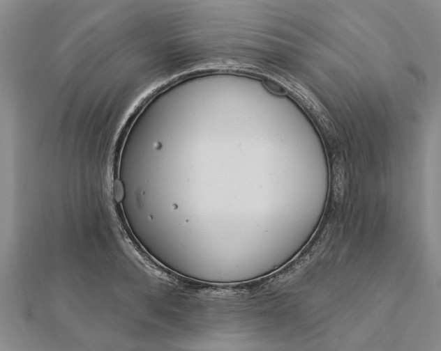 X0000112460896200908311327