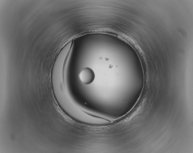 X0000112460897200908311327