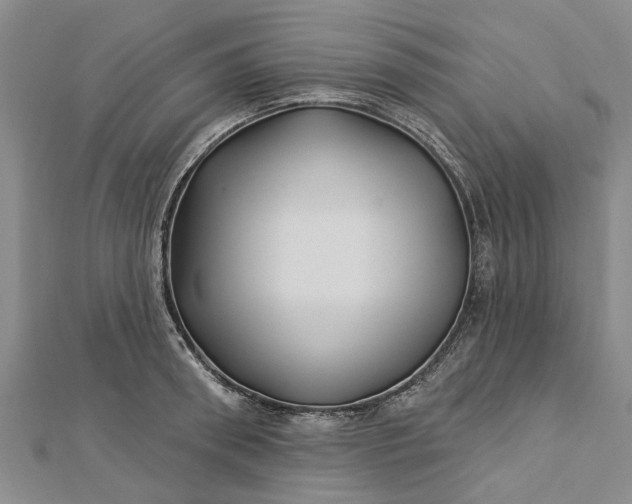 X0000112460898200908311327