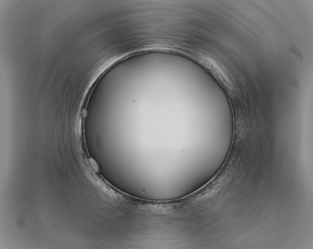 X0000112460900200908311327