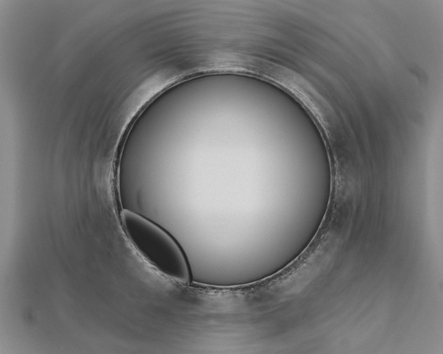 X0000112460901200908311327